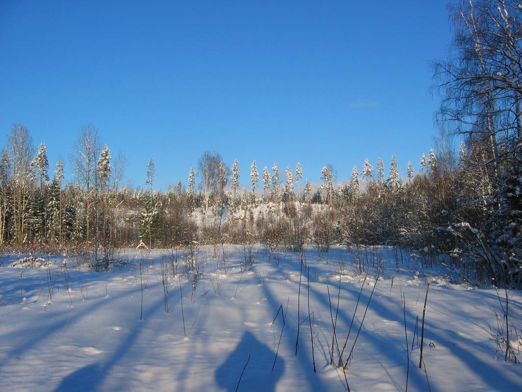 Ruhmaslehto Villa Siikava Bagian luar foto