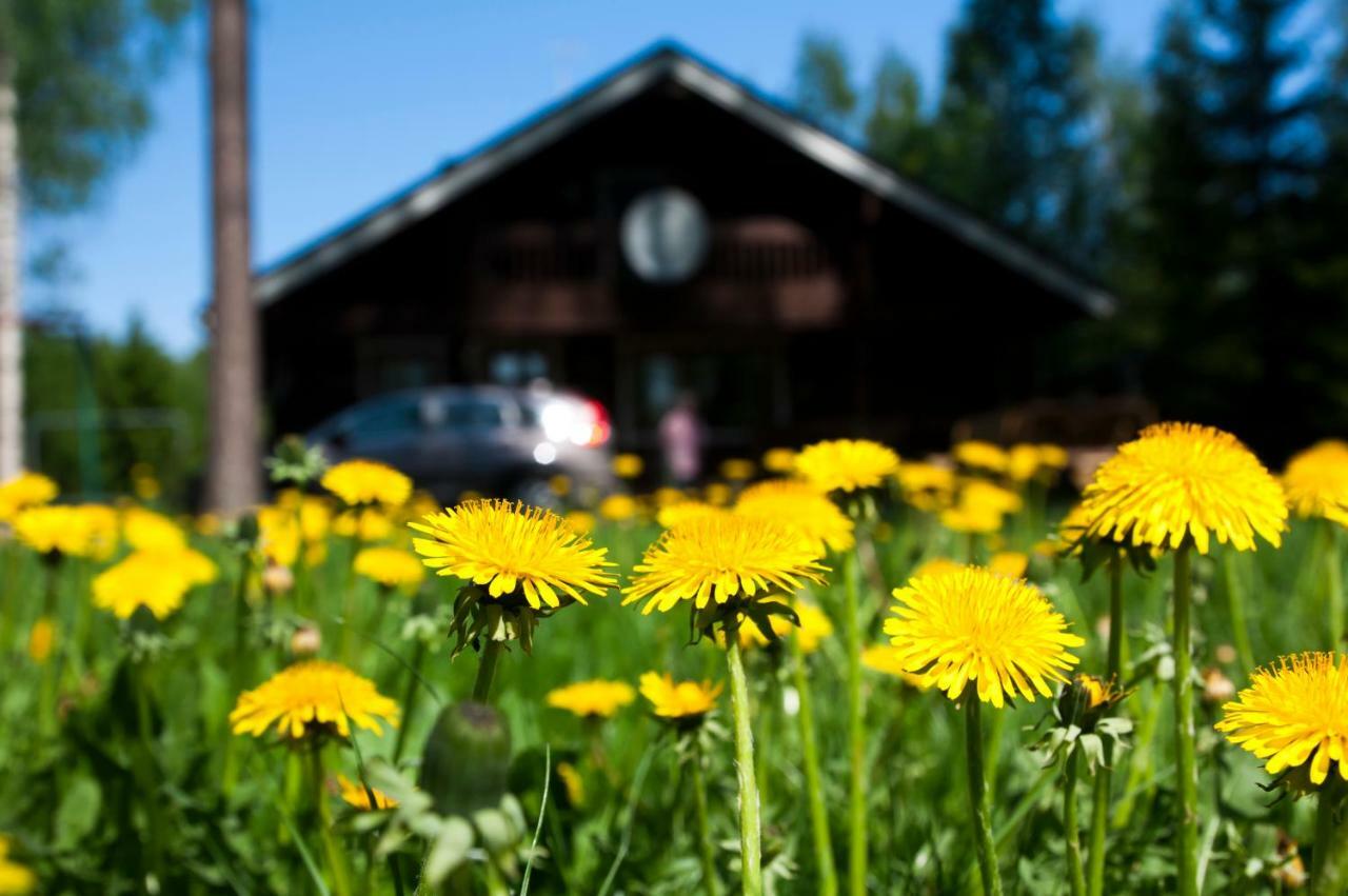 Ruhmaslehto Villa Siikava Bagian luar foto